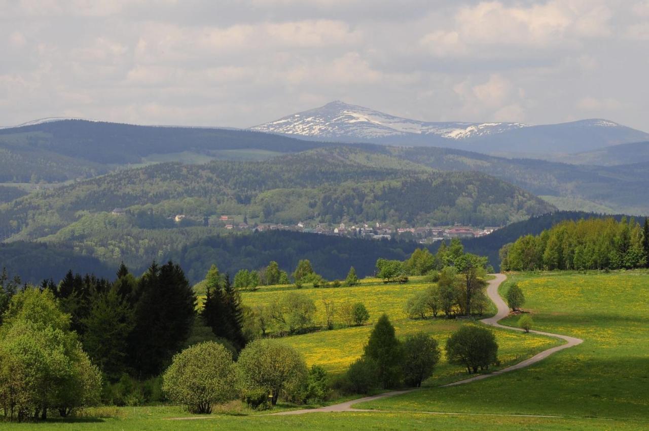 Apartman Na Svahu, Krkonose Žacléř Zewnętrze zdjęcie